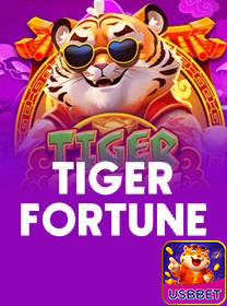 usbbet.com experimente profissional jogo